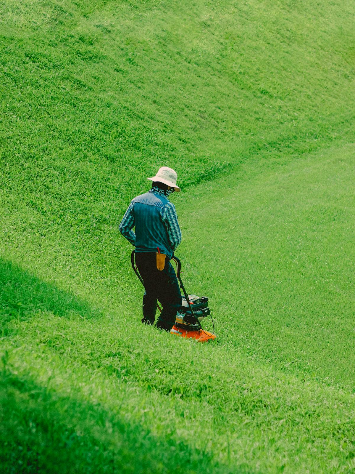 Lawn Grading planning for an Osceola County lawn